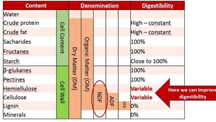 DLF Fiber Energy